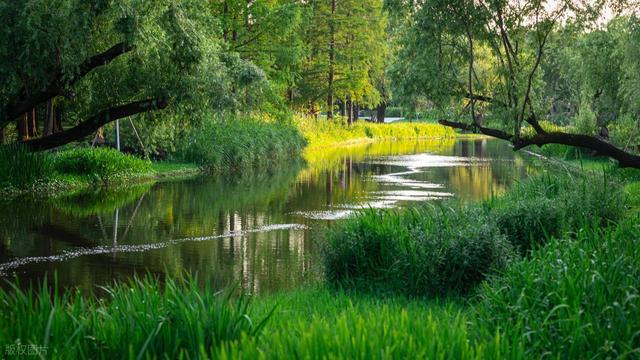 上海值得去的6个公园推荐！全部免费，好看又好玩！你都去过几个