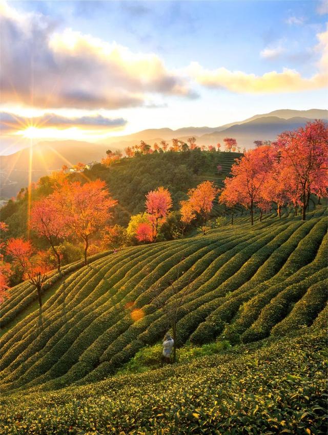 均温25℃，游客仅大理1%！云南这座小城，只有冬天才会被想起