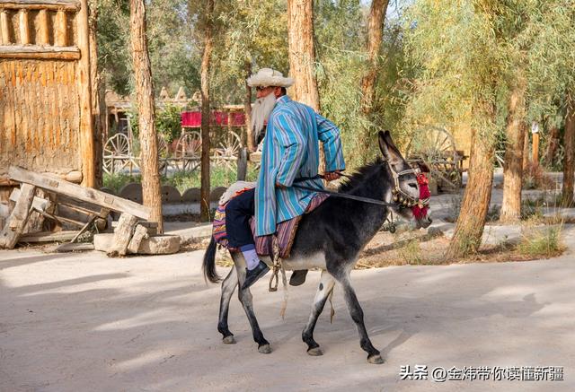 刀郎部落景区入选2025年全国非遗进景区“五好”案例名单实至名归