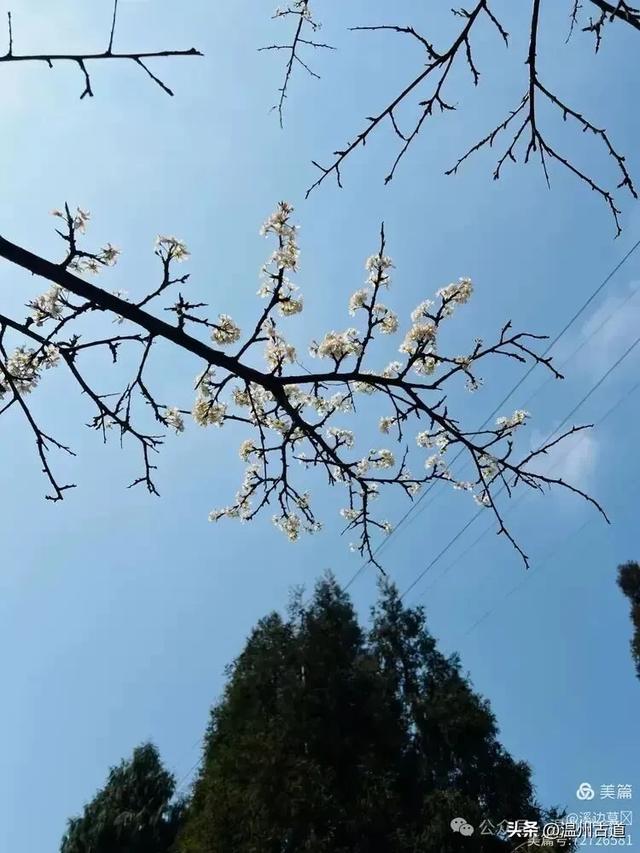 温州这条以峡谷景观和险峻山势为特色的徒步线路你可去过?