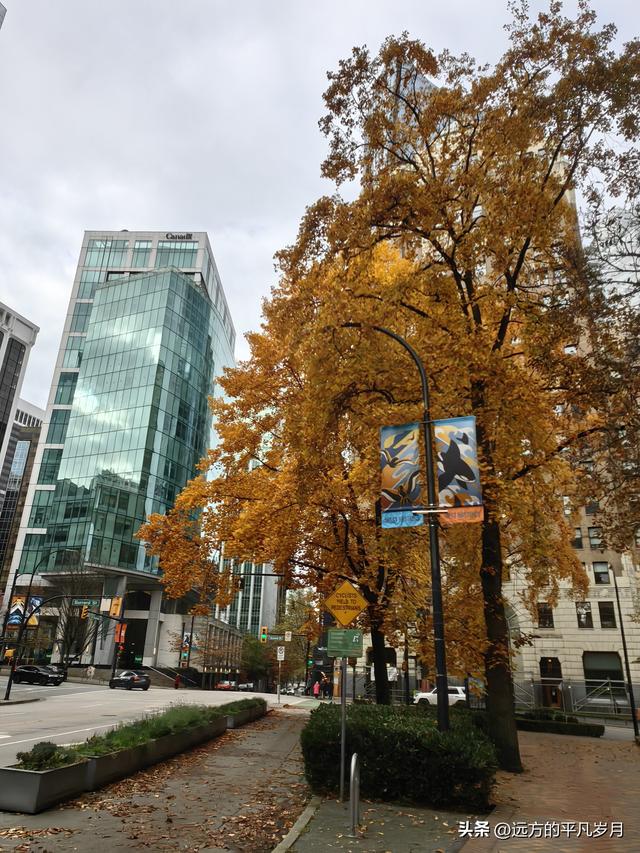 温哥华游记（三）