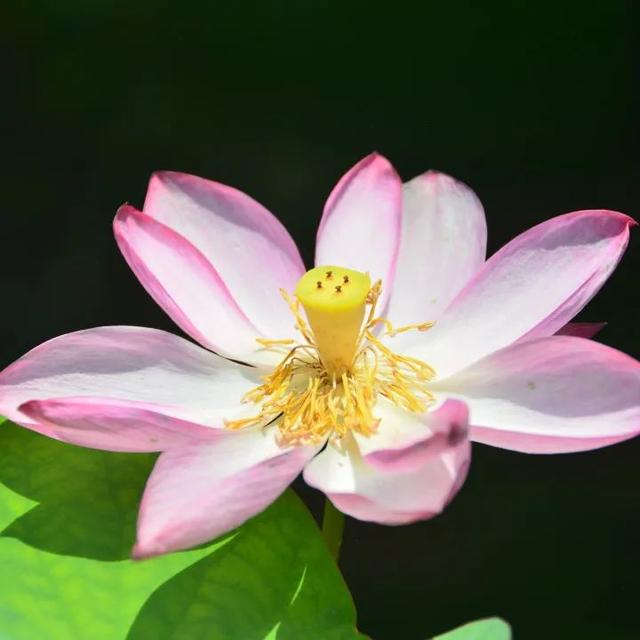 柳东奇遇记② | 探寻绿野仙踪，打卡宝藏生态画卷
