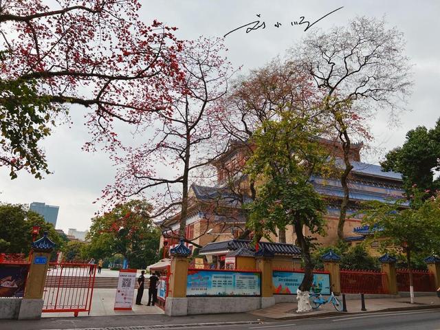 游客的疑惑：明明都是一线城市，广州为什么没有上海“洋气”？