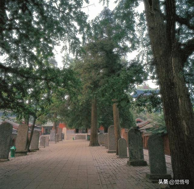 争议之外，来认识一个你可能不了解的少林寺