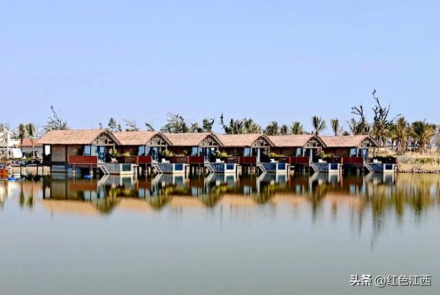 极南暖冬里，艺术在蚝壳上发光