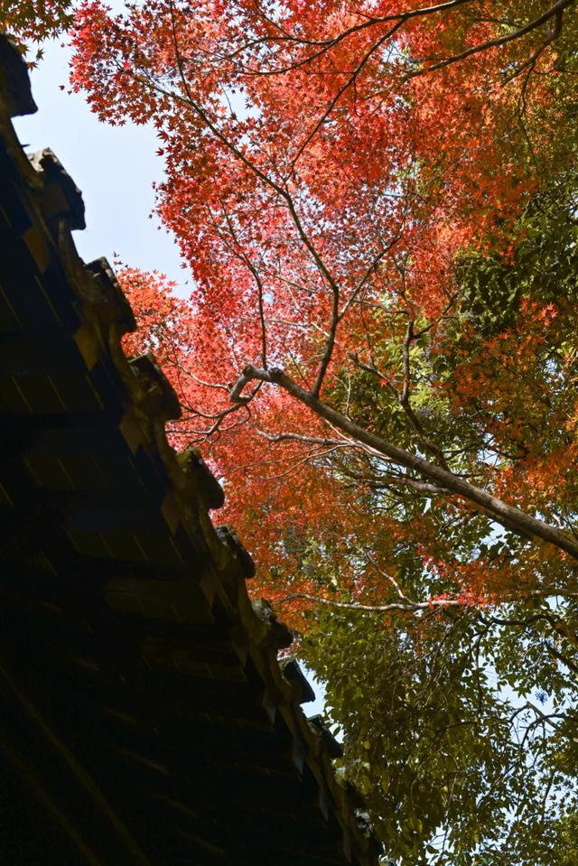 这里是江南诗词最多的城市,它的美有谁懂?