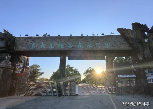 海拉尔一日游，看我一天都游览了哪些地方，新结识了小伙伴（2）