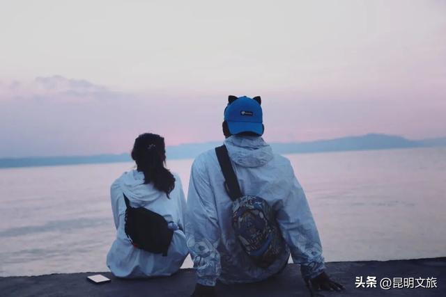 2025最新观鸥地图：这些地方“鸥”气值MAX，拍照直接封神！