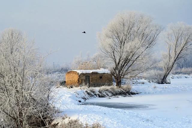 如要选一个冬季最佳拍雪景的地方,首选一定是它