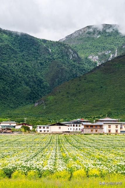 “忙”字背后，爱已悄然退场？