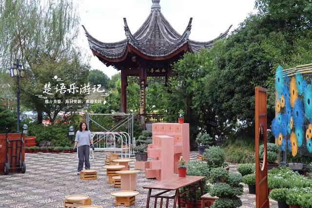 宁波这个网红菊花展已经上线，花还没开但景色很美，快来先睹为快