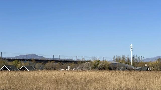 大风刮出绝美晴天！北京园博园湿地稻草人展持续营业中，蓝天湿地拍爆朋友圈