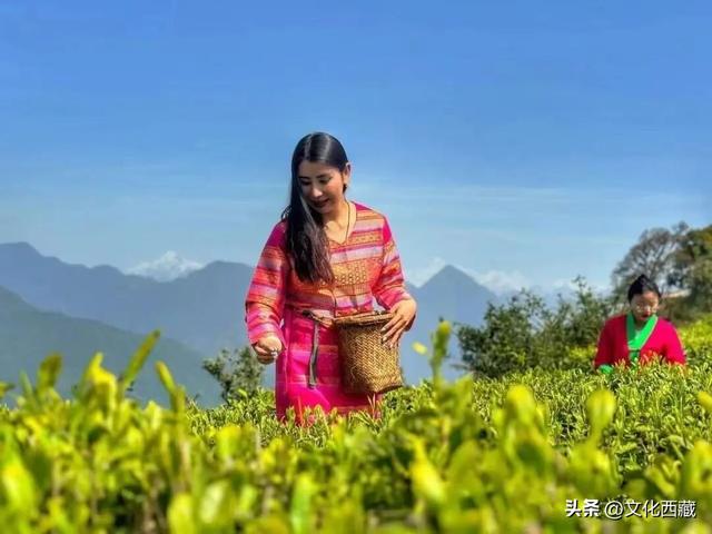 西藏墨脱再创纪录！中国门珞族人口最多、海拔落差最大的县！