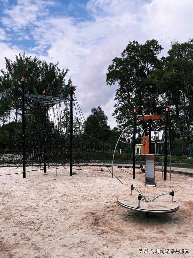 冬日遛娃就去长沙“济州岛”！水杉染红，芦苇摇浪，0元解锁 “橘子海” 日落