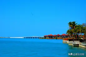 草书：毛泽东诗《七律·人民解放军占领南京》图片