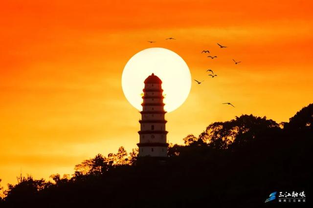 产城人景融合！新区解锁文旅新玩法！