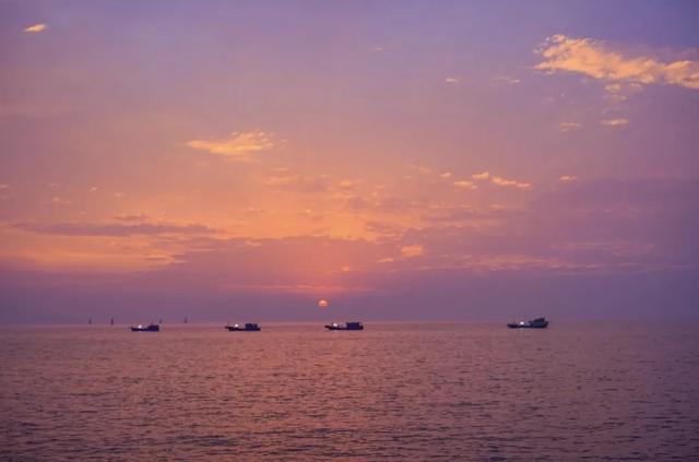 体荟四季｜冲浪、赶海、骑行...江浙沪这些 “动感海岸线”激活你的整个夏天