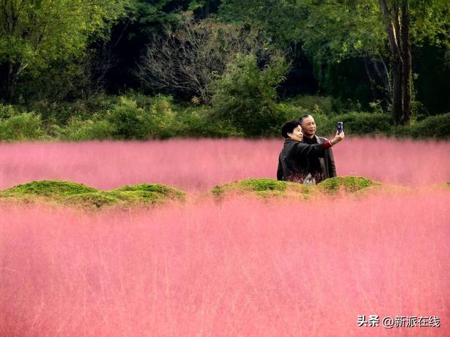 立冬已至，潍坊的秋意仍浓，这里的风景绝美