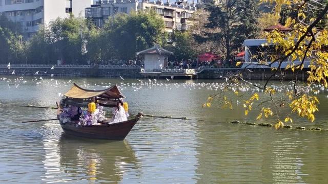 观鸥更方便！全新移动服务“神器”来了！