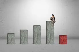 上市12年首次营收净利润双降，洽洽食品百亿目标还有多远？图片