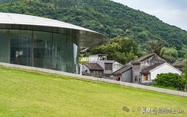 这条老街，我把它评为温州历史街区的“天花板”