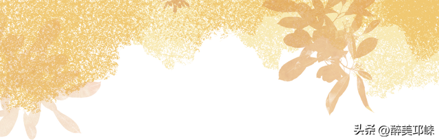 深秋想赴一场“森”系约会？来邛崃就够了！