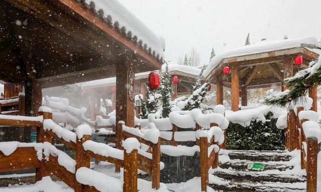 雪雪雪雪！烟台高热玩法攻略来了！