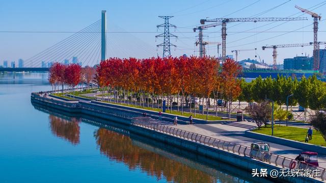 石家庄：秋色如画