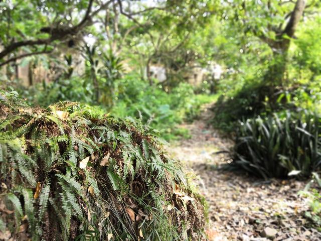 漳州平和阿里山神吴凤故里——壶嗣（2018.4.2）