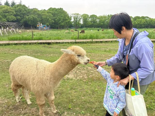 湿地、日出、星空、美食……来自这里的邀请函是否让你心动？