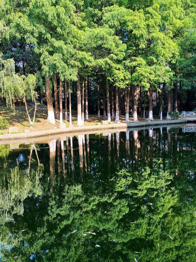 拯救高温周末！南京本地人私藏的6个清凉公园，免费又好玩，快冲