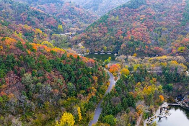 周末出发！济南这条自驾线路串起古建、名泉、红叶，美极了！