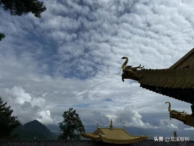 小罗斯福兄弟由印度来到大理、丽江，会见了洛克，获得很多帮助