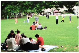 我们为什么越来越喜欢去公园？图片