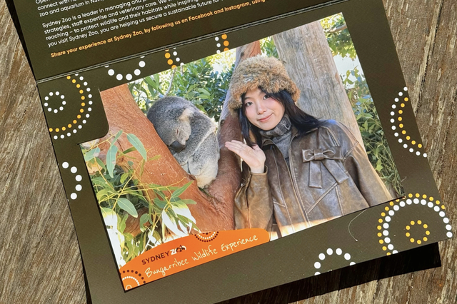 今年冬天，我想去这里过夏天