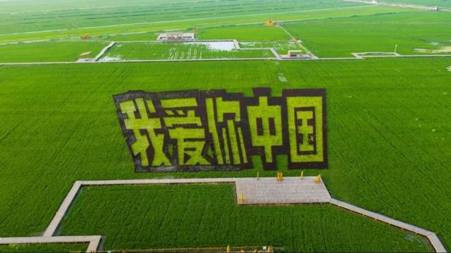 全国征集 | 2026年盘锦红海滩稻田画主题，由你来定~