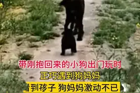 万事有灵性狗狗长大后还能认识自已的妈妈图片