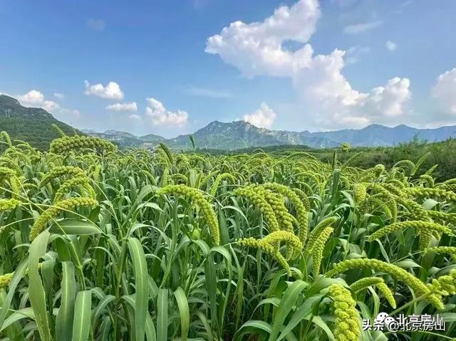 房山的“穿越”好去处