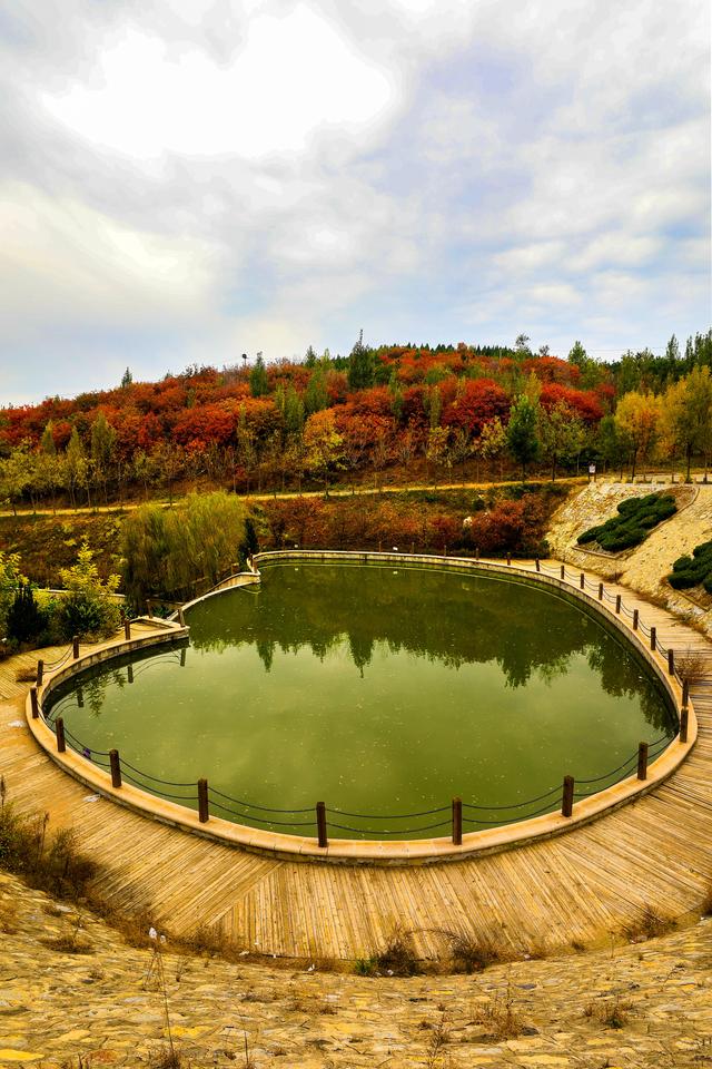 呐！送你一片立冬日的多巴胺