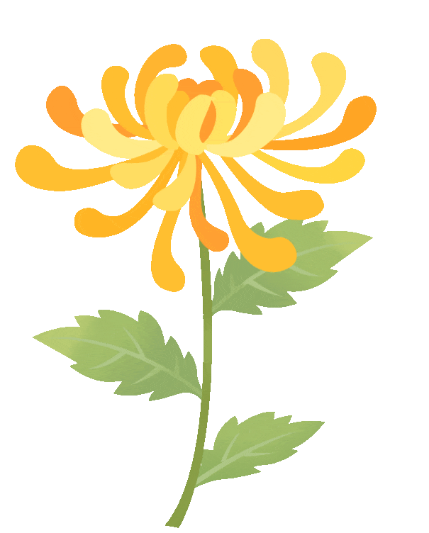 今日开幕！来泰达看百菊争艳