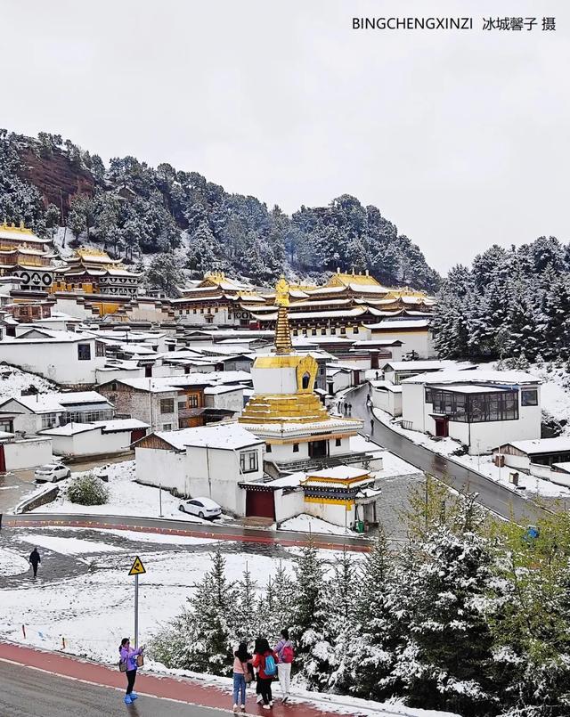 甘南-川西北之旅-6︱六月雪吻郎木寺