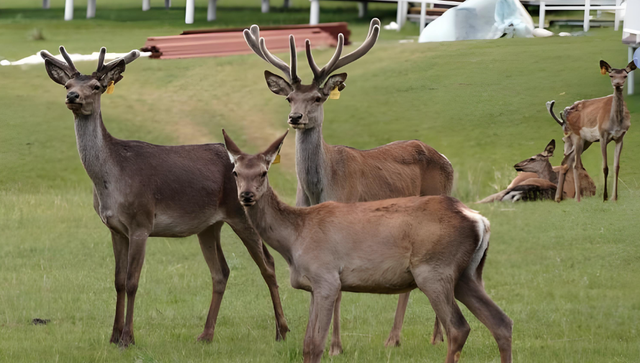 一个肃南县，半座祁连山，两块飞地显神奇，甘肃省内独此一家