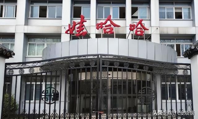娃哈哈近三年收入对比：22年512亿，23年500亿，24年令人意外