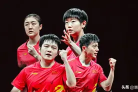 釜山世乒赛：食物中毒，裁判糊涂，闪光灯不断，马龙主动握手遭拒图片