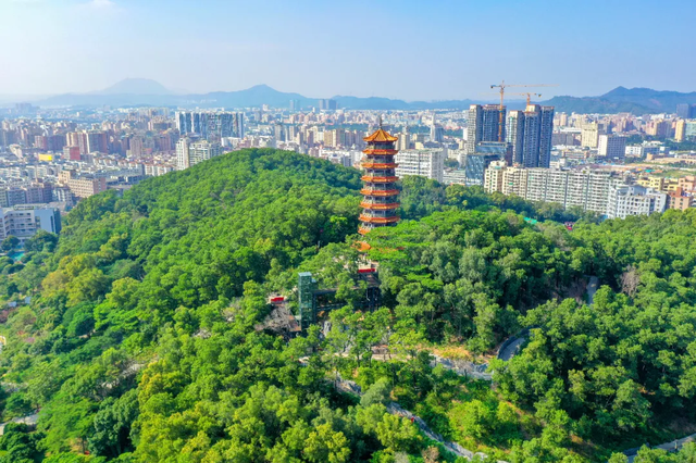 坐地铁去虹桥！这份光明交通指南安排上