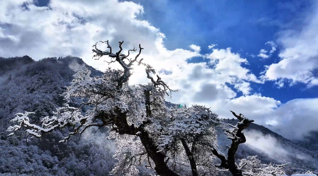 卸下秋的绚烂，赴一场四姑娘山初冬银装素裹的浪漫
