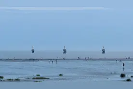 奉贤渔人码头8月1日起正式开放赶海图片