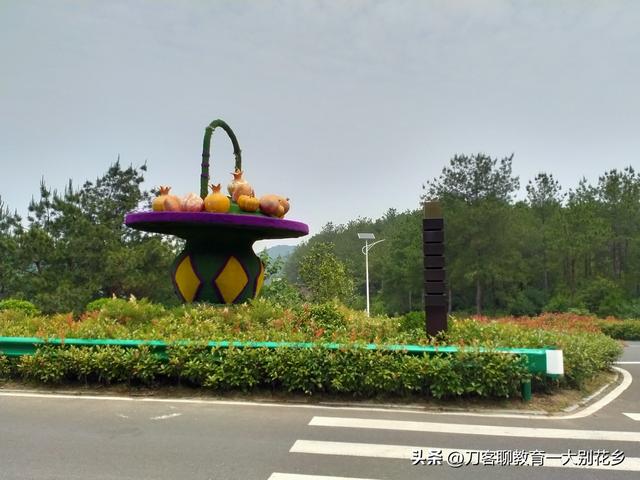 麻城旅游：2025年金秋，麻城五脑山菊花大观园福菊飘香，花海烂漫