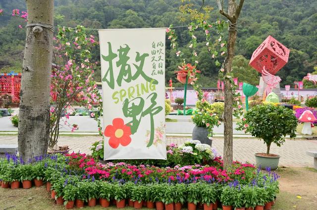 走，一起上春山！清明假期出发观音山，花神约您来见~