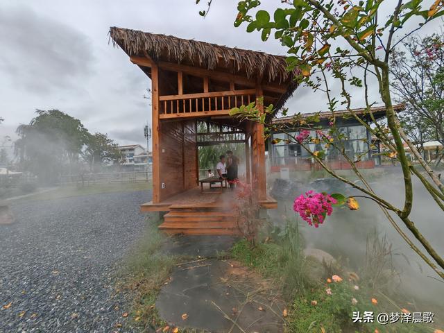 云梦仙境花开十月花雾醉游人